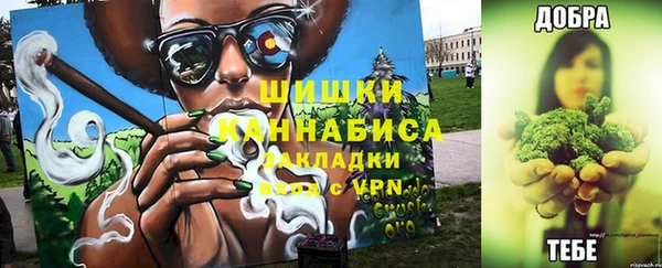 молекула духа Домодедово